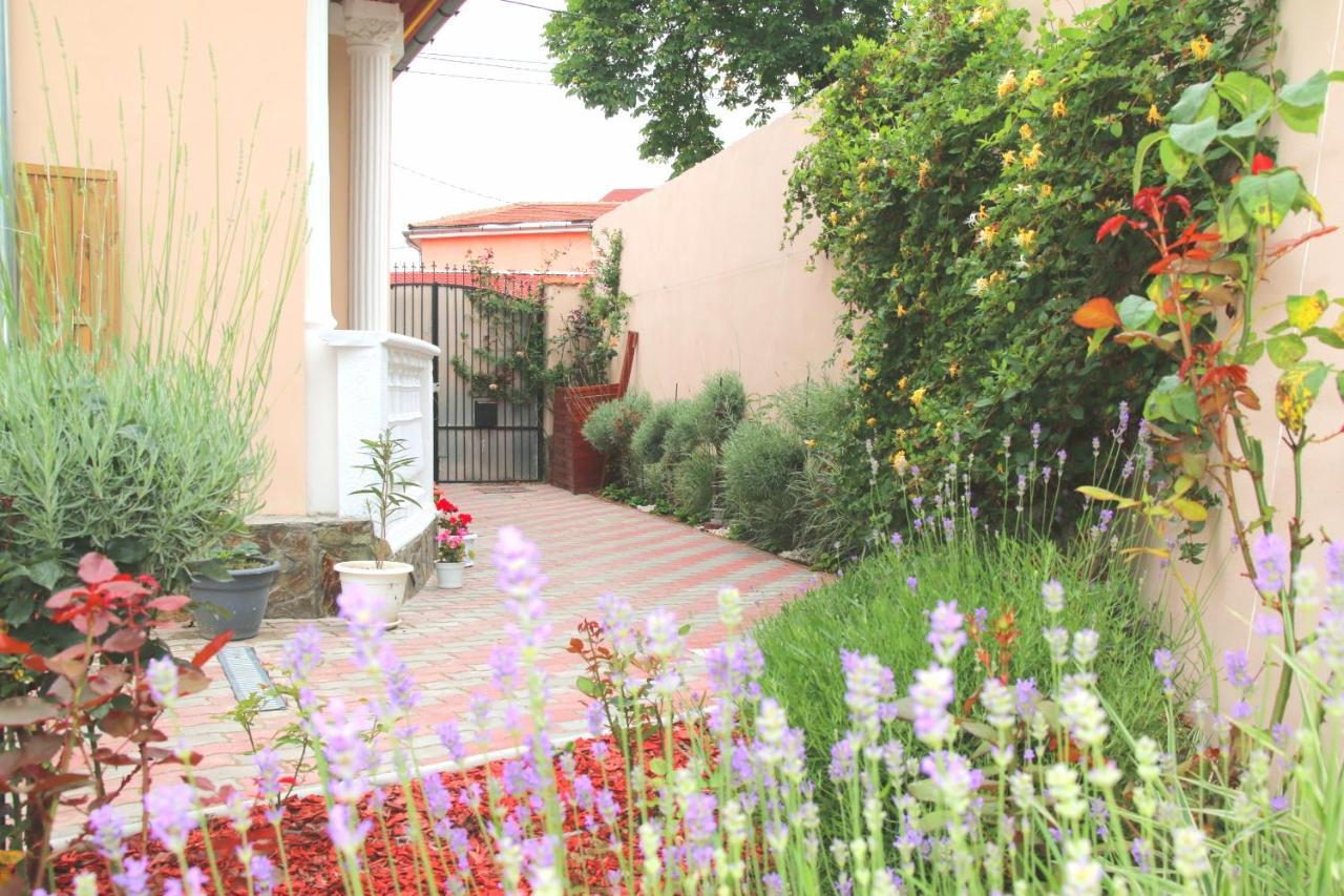 Yox Apartment 5 Oradea Exterior photo